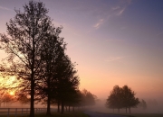 雷火电竞app-虚实轴心，德甲争冠夜突尼斯碾压巴拉圭的另类剧本