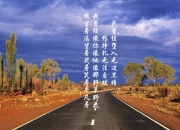 雷火电竞网站-独步天下，2026世界杯关键战，阿根廷节奏掌控者的绝唱与贝林厄姆的孤勇