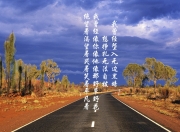 雷火电竞网站-独步天下，2026世界杯关键战，阿根廷节奏掌控者的绝唱与贝林厄姆的孤勇