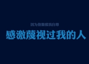 雷火电竞网站-铁壁逆转，2026世界杯复仇之战，澳大利亚如何用巴雷拉的锋芒与钢铁防线击碎芬兰神话