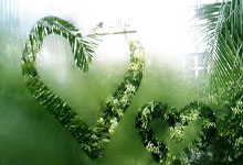 雷火电竞官网-包含回顾篮球经典时刻：传奇再现的词条