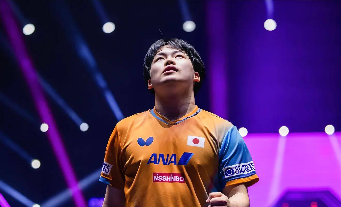 法国队完胜韩国队，张本智和刷新纪录