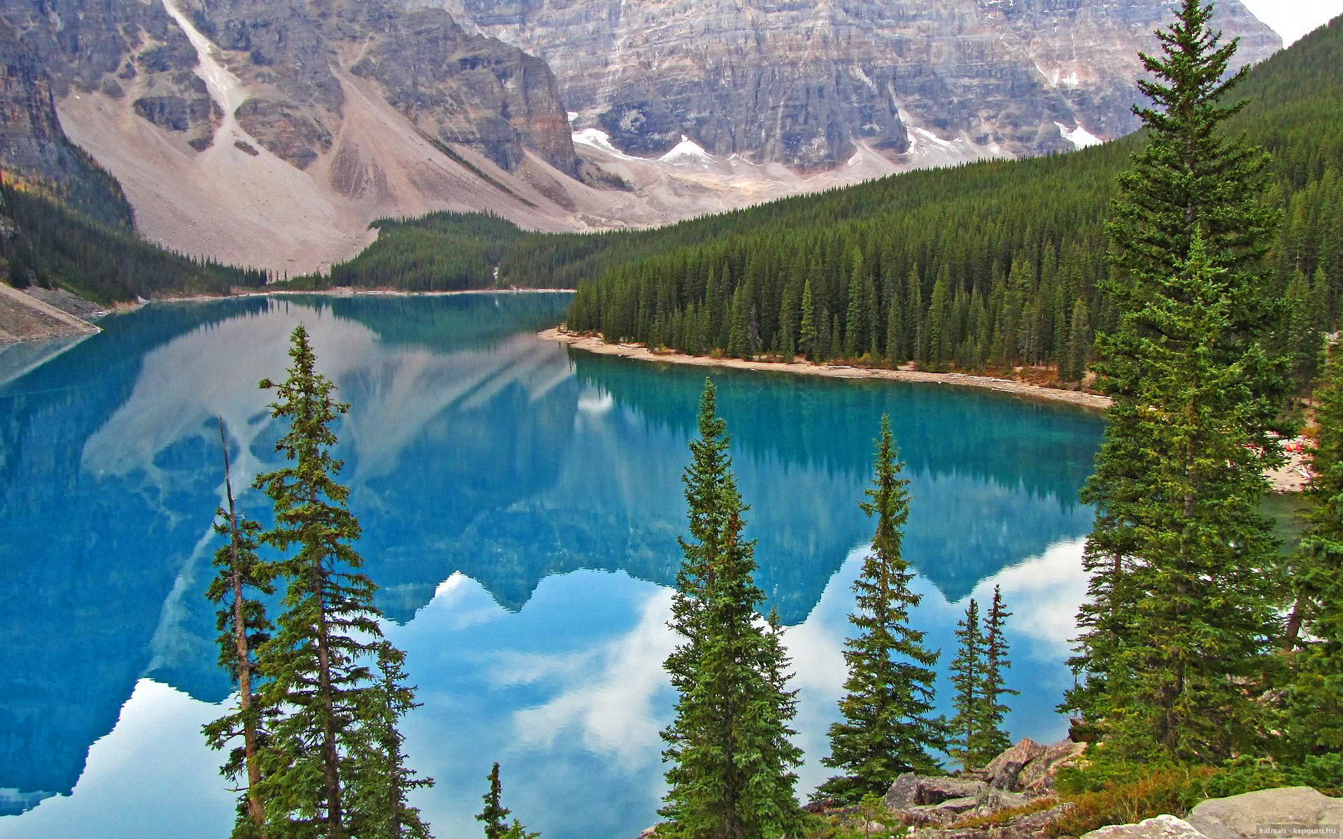 蛰醒联盟！黄蜂致命冷枪击溃雄鹿，乔治加冕关键先生