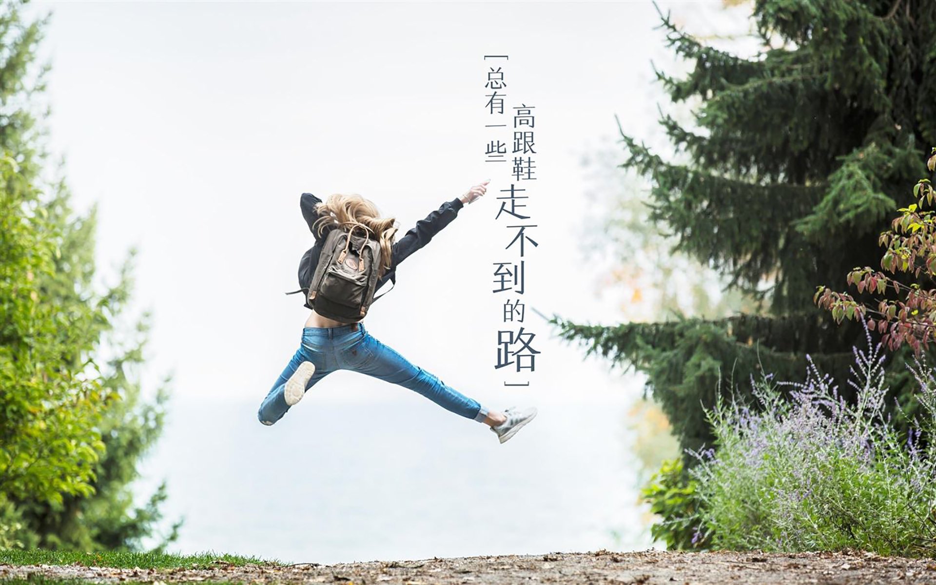 桑巴狂想曲，2026世界杯E组焦点战，布罗佐维奇导演巴西大胜厄瓜多尔的唯一剧本